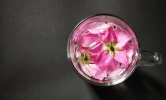 flor rosa chinensis em copo de vidro cheio de água, ilustração do conceito romântico. isolado no fundo preto foto