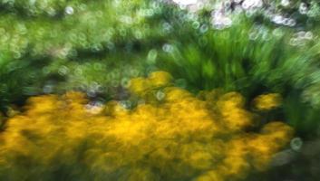 imagem borrada abstrata de um jardim de primavera foto