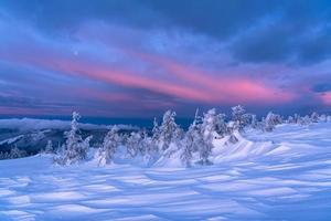 paisagem de inverno ao nascer do sol foto