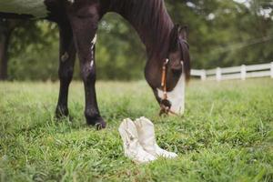 botas brancas perto do cavalo foto