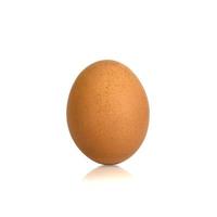 único ovo marrom isolado no fundo branco foto