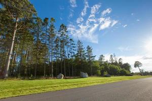 bela rodovia estrada de asfalto através da floresta, céu azul foto