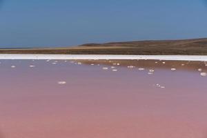 bela paisagem de um lago de sal rosa foto