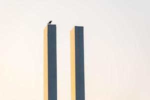 um corvo em um poste vertical alto foto