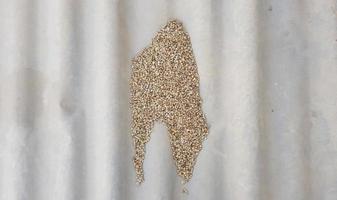 pequena pilha de quinoa multicolorida crua isolada em plano de fundo texturizado cinza foto