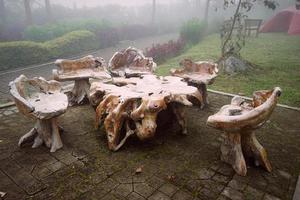 mesa e cadeiras de madeira feitas de árvore e raiz no jardim para inspiração de decoração foto