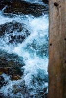 rio selvagem de alta montanha na floresta do parque nacional, paisagem pacífica de outono e primavera. fluxo de água no parque nacional na polônia. caminho de trekking alpino inferior. foto