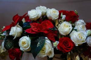 rosas brancas e vermelhas foto