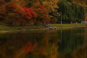 árvores coloridas de outono refletidas no pequeno lago foto