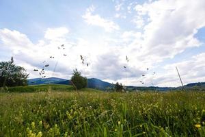 lindo dia de sol está na paisagem montanhosa. Cárpatos, Ucrânia. foto