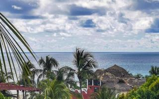 belo panorama natural seascape palmeiras praia puerto escondido méxico. foto