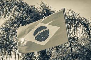 bandeira brasileira com palmeiras e fundo de céu azul Brasil. foto