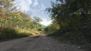 caminho segue em frente em uma estrada de cascalho. com árvores e grama na beira da estrada. enormes montanhas formam o fundo distante sob o céu azul. foto