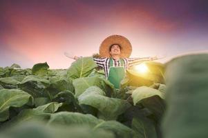 agricultura, jovem asiático em pé no campo de tabaco, verificando as colheitas ao pôr do sol. uma perspectiva asiática sobre o cultivo de tabaco foto
