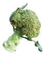 brócolis isolado no fundo branco foto