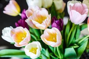 banner de flores da primavera, monte de flores de tulipa amarelas e roxas foto