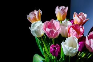 banner de flores da primavera, ramo de flores de tulipa foto