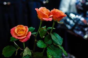 rosas cor de laranja três foto