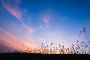 fundo da paisagem do pôr do sol foto