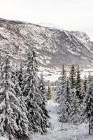 bela paisagem de inverno norueguês da pista de esqui no vale de hemsedal buskerud noruega,cartão postal sazonal,papel de parede,impressão para tela,design da capa foto