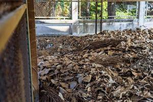 uma grande quantidade de folhas mortas são empilhadas na antiga sala de estrutura de grade de aço. foto