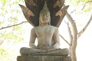 estátua de buda no templo da tailândia foto