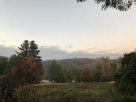 campo de outono e árvores foto