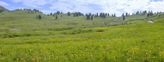 vista panorâmica do prado de flores silvestres na bacia do paraíso nas montanhas rochosas do colorado. foto