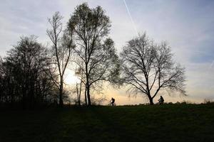 silhueta de pessoas andando de bicicleta em uma estrada rural ao pôr do sol ao longo do rio danúbio em regensburg, alemanha, europa. foto