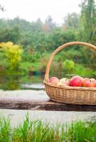 cesta de palha grande com maçãs vermelhas e amarelas no banco à beira do lago foto