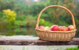 cesta de palha grande com maçãs vermelhas e amarelas no banco à beira do lago foto