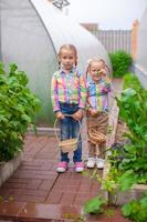 meninas adoráveis com a cesta de colheita em uma estufa foto