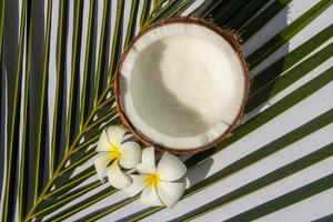 conceito de frutas tropicais, metades de coco fresco com folhas e flor de plumeria em fundo branco foto