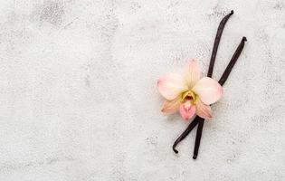 varas de baunilha secas e flor de orquídea em fundo branco de concreto. foto