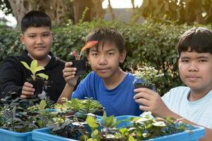 grupo de jovens asiáticos segura lupa e vasos de plantas e olha através da lente para estudar espécies de plantas e fazer trabalhos de projeto, conceito de aprendizagem em sala de aula ao ar livre, foco suave e seletivo. foto