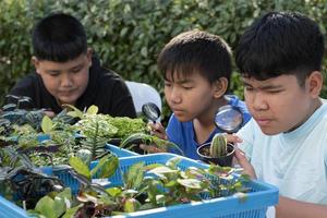 grupo de jovens asiáticos segura lupa e vasos de plantas e olha através da lente para estudar espécies de plantas e fazer trabalhos de projeto, conceito de aprendizagem em sala de aula ao ar livre, foco suave e seletivo. foto