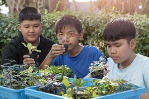 grupo de jovens asiáticos segura lupa e vasos de plantas e olha através da lente para estudar espécies de plantas e fazer trabalhos de projeto, conceito de aprendizagem em sala de aula ao ar livre, foco suave e seletivo. foto