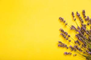 flores de lavanda na vista superior de fundo amarelo. copie o espaço foto