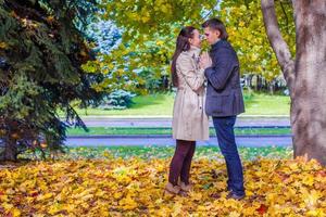 jovem casal apaixonado no grande prado de outono sob grande árvore de bordo no dia ensolarado de outono foto