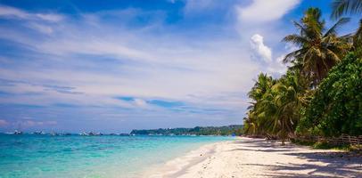 praia tropical perfeita com belas palmeiras e areia branca foto