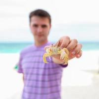 close-up da mão do homem segurando o caranguejo foto