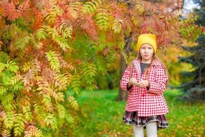 menina adorável no lindo dia de outono ao ar livre foto