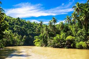 rio loboc tropical com palmeiras em ambas as margens foto