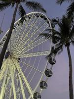 roda gigante no parque no centro de miami ao pôr do sol foto