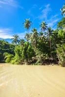 rio loboc tropical, ilha bohol, filipinas foto