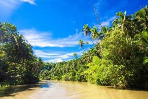 rio loboc tropical, céu azul, ilha bohol, filipinas foto