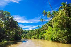 rio loboc tropical na ilha bohol nas filipinas foto