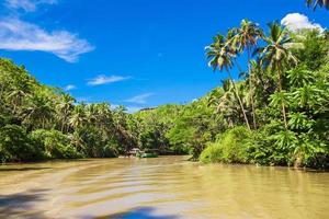 rio loboc tropical, ilha bohol, filipinas foto