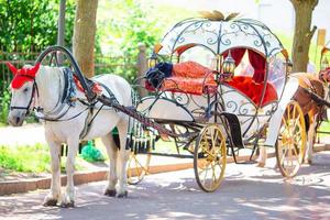 fiaker de treinador de cavalo tradicional na europa foto