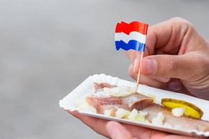 saboroso arenque fresco com cebola e bandeira da Holanda no fundo do canal de água em amsterdã. comida holandesa tradicional foto